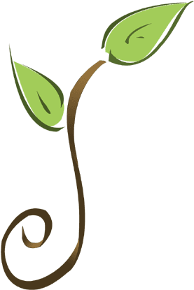 Breeze Of Nature Logo - Breeze Of Nature - Transparent PNG Free Download | PNGio