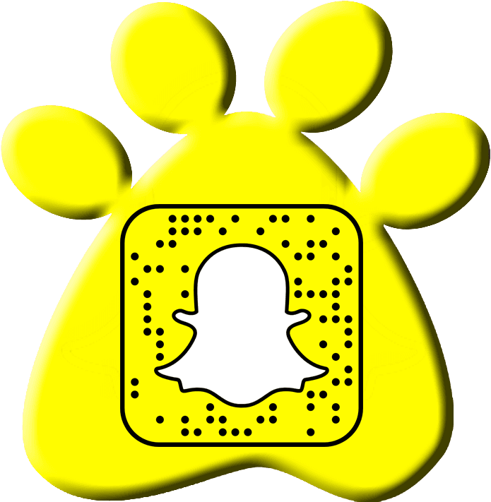 Call Today - Zico Coconut Water, Natural, 16.9 Ounce Pack - Transparent PNG Free Download | PNGio