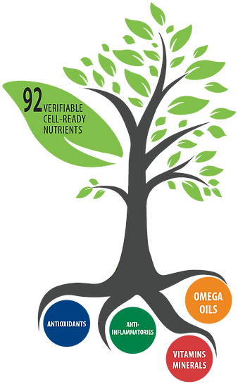 Nature Infographics - Transparent PNG Free Download | PNGio