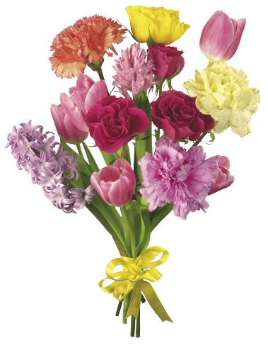 Flower Bouquet 2 By Dementiarunner - Cosmic Nature I Canvas Print - Small By Nikola Nupra - Transparent PNG Free Download | PNGio