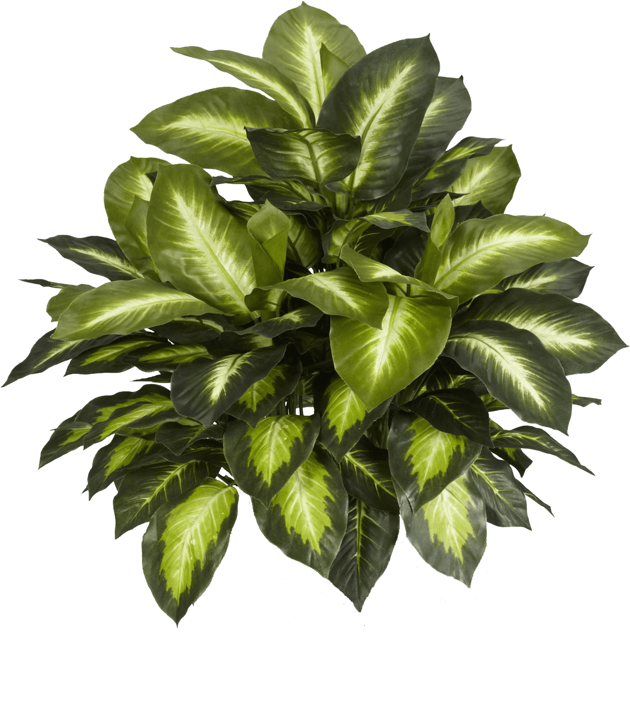 Leafs And Flowers Download Free - Nearly Natural Silk Plants - Transparent PNG Free Download | PNGio