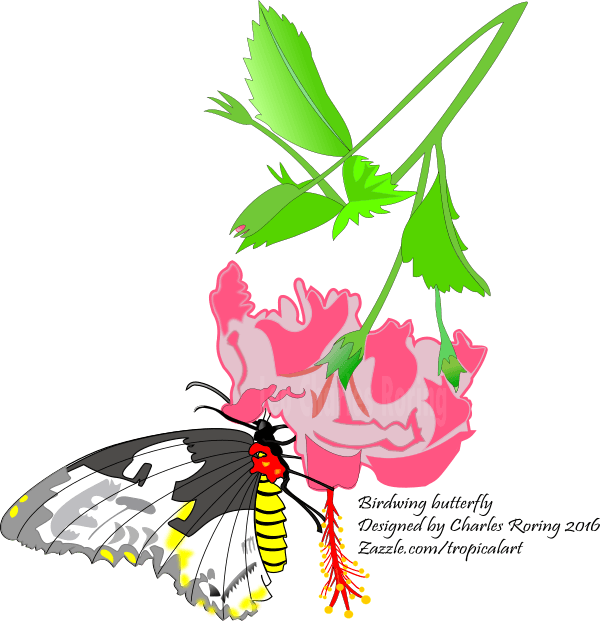 It Is Not Easy To Make Digital Drawing - Birdwing Butterfly Large Tote Bag, Natural, Large - Transparent PNG Free Download | PNGio