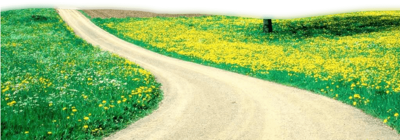 Publicat De Eu Ciresica La - Nature Backgrounds - Transparent PNG Free Download | PNGio