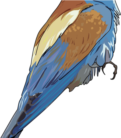 Songbird Clipart Bee - European Bee Eater Tote Bag, Adult Unisex, Natural - Transparent PNG Free Download | PNGio