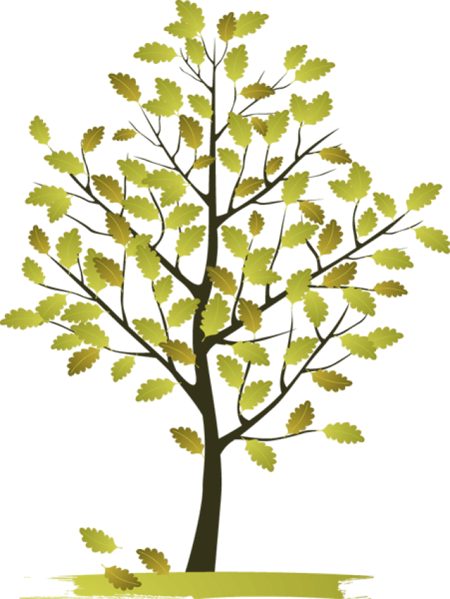 Autumn Tree Clip Art 5reqcw Clipart - Natural Beauty Clip Art - Transparent PNG Free Download | PNGio