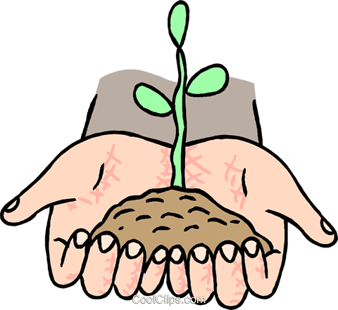 Growth, Seedling Germinating From Soil Royalty Free - Natural Science - Transparent PNG Free Download | PNGio