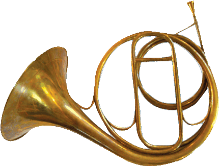 Anne Hunter, Contributing Editor, Is A Writer And Art - Natural Horn Baroque - Transparent PNG Free Download | PNGio