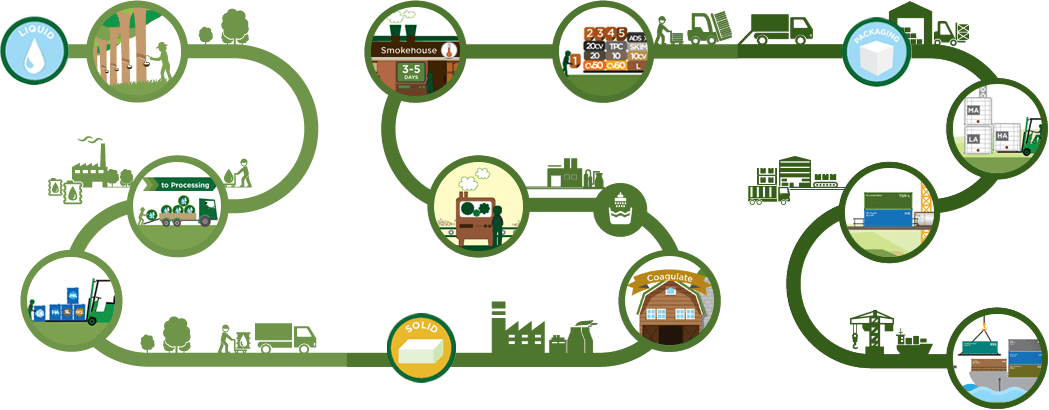 Natural Rubber Process - Natural Rubber Production Process - Transparent PNG Free Download | PNGio