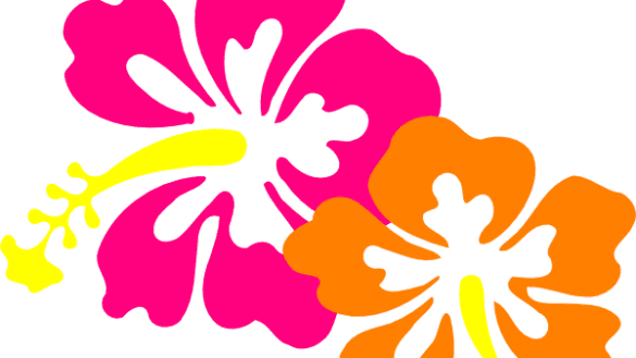 Authentic Hawaiian Flowers Cartoon Hibiscus Flower - Hibiscus Tote Bag, Adult Unisex, Natural - Transparent PNG Free Download | PNGio