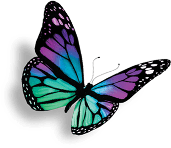 Hypnomorphose Ausbildung - Heal Breast Cancer Naturally 7 Essential Steps - Transparent PNG Free Download | PNGio