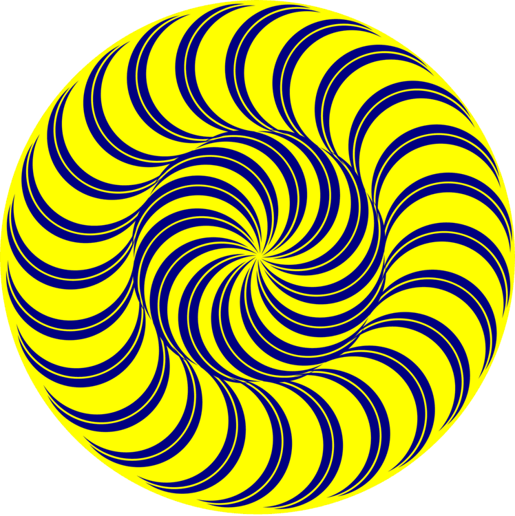 Op Art T-shirt Fall Skateboard - Spiral In Nature Clipart - Transparent PNG Free Download | PNGio
