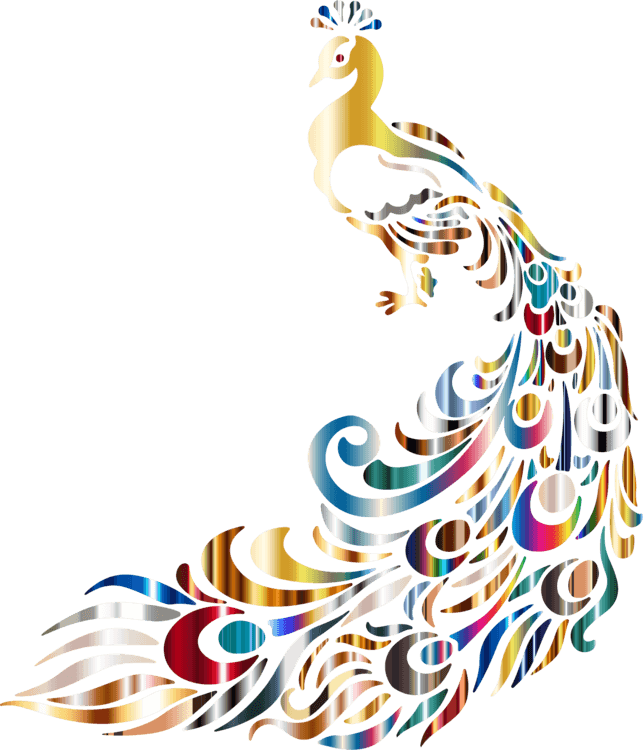 All Photo Png Clipart - Transparent Background Nature Png - Transparent PNG Free Download | PNGio