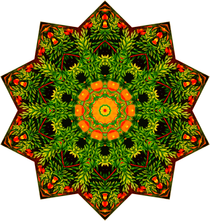 Cafepress Vintage Douchegordijn Symmetry Canvas Flower - Vintage Plants Decorative Nature Pillow Case - Transparent PNG Free Download | PNGio