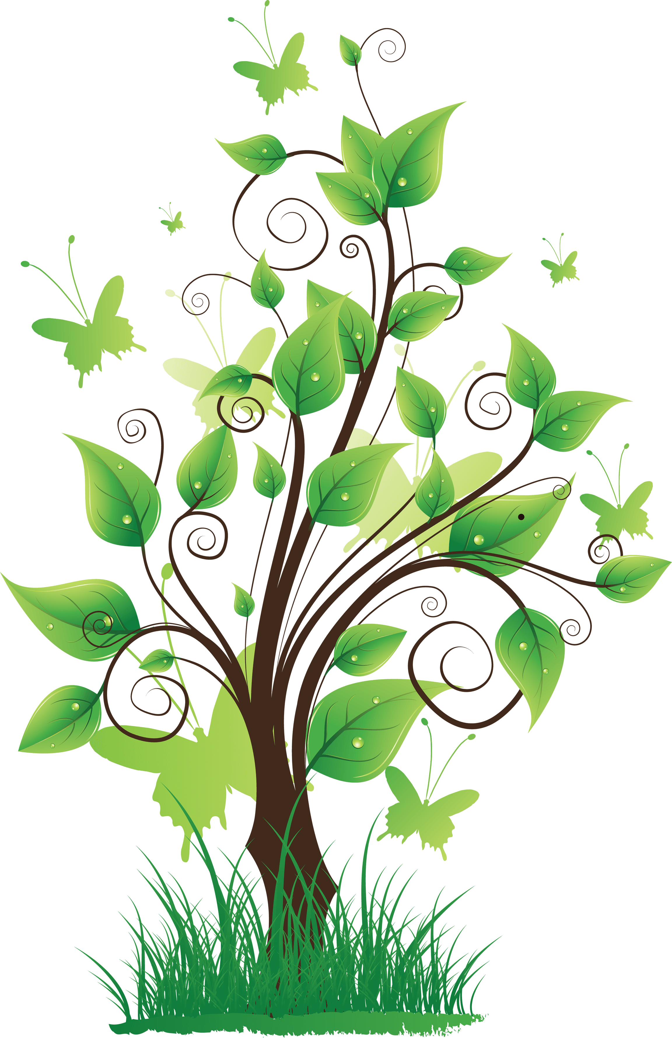 Nature Quality Png Clipart - Nature Quality Png Clipart - Transparent PNG Free Download | PNGio