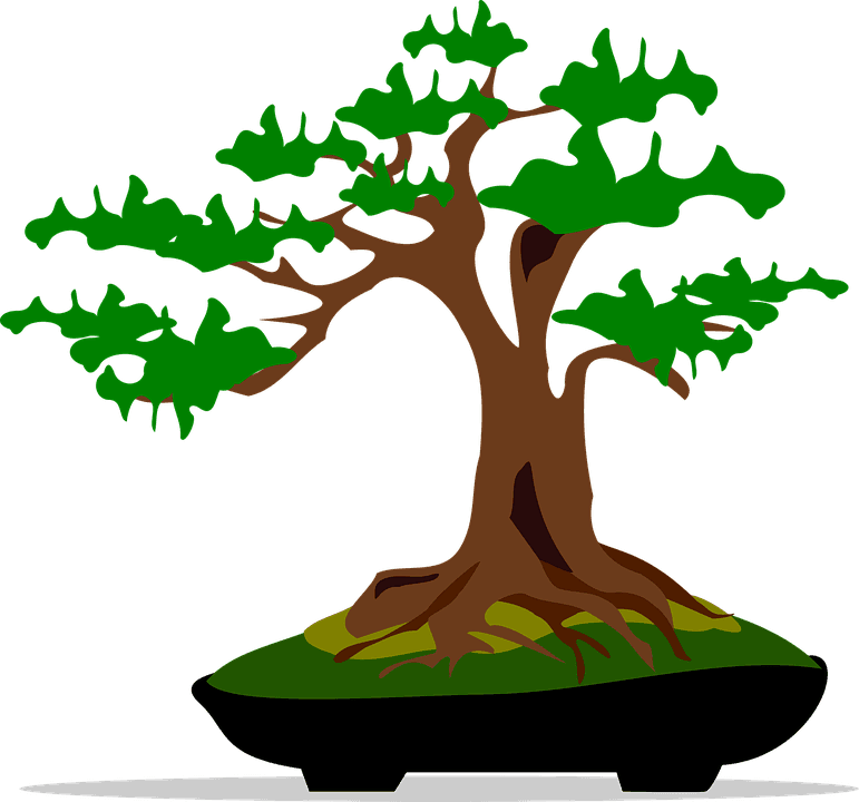 Bonsai Clip Art Flora Nature Plant Tree - Bonsai Clip Art - Transparent PNG Free Download | PNGio