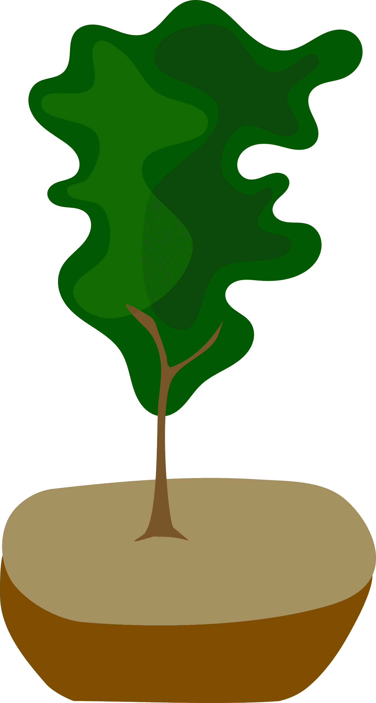 Pot Tree, Bonsai, Nature, Pot - Bonsai - Transparent PNG Free Download | PNGio