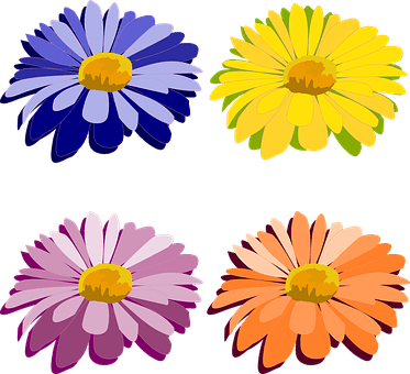 Clip Art Flor Flora Flores Flower Nature P - รูป ดอกไม้ ตัด ปะ - Transparent PNG Free Download | PNGio