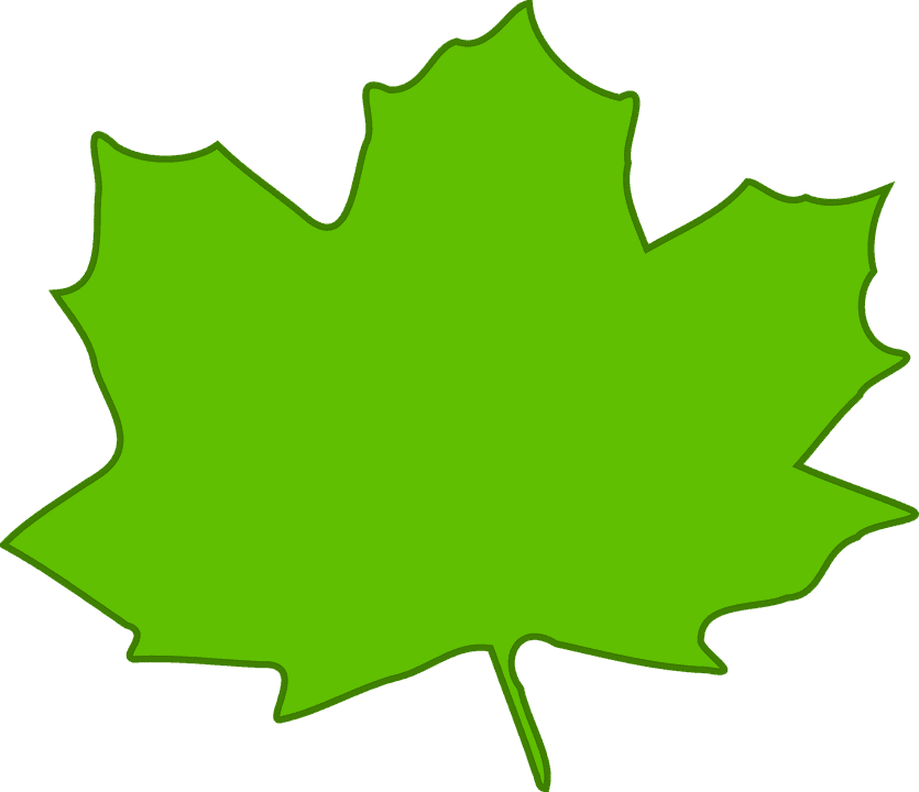 Maple Leaf Green Plant Nature Foliage Tree - Light Green Leaves Clipart - Transparent PNG Free Download | PNGio