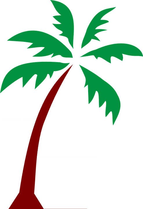 Island Palm Fronds Tree Tropical Nature - Great Beach T-shirt For Manhattan Beach - Transparent PNG Free Download | PNGio
