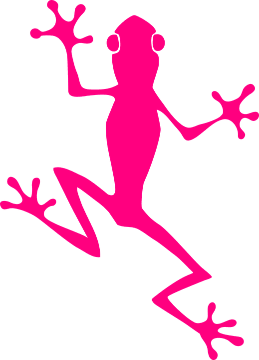 Frog Climb Pink Amphibian Animal Nature Wildlife - Frog Graphic - Transparent PNG Free Download | PNGio