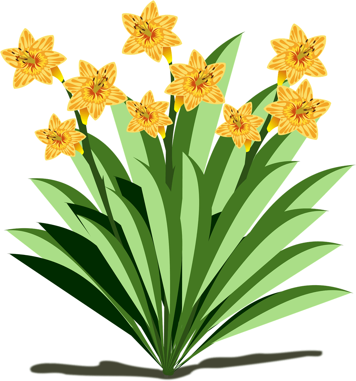 Clip Art Flor Flora Flower Nature Plant Cl - Fun Facts About Plants - Transparent PNG Free Download | PNGio