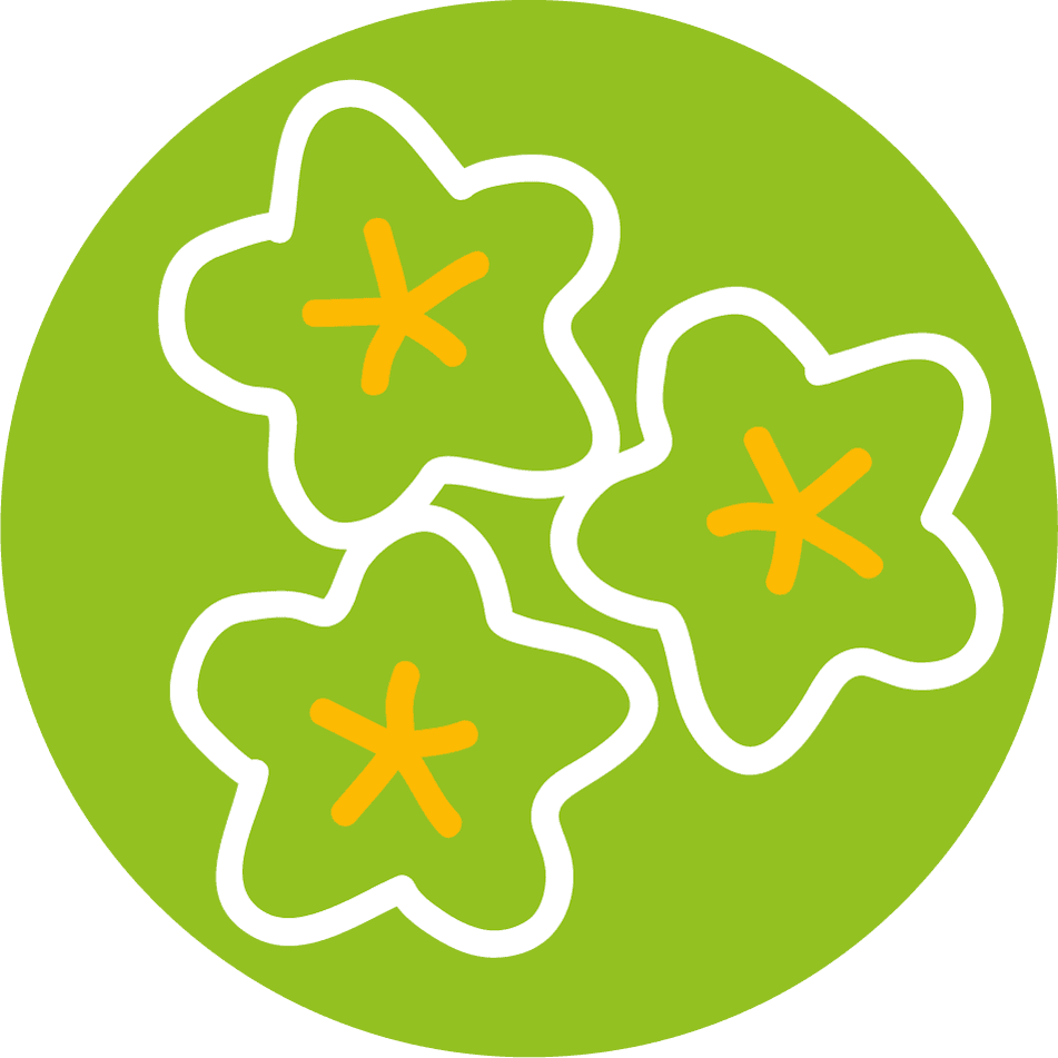 Properties Natural Sweetener - Coconut - Transparent PNG Free Download | PNGio