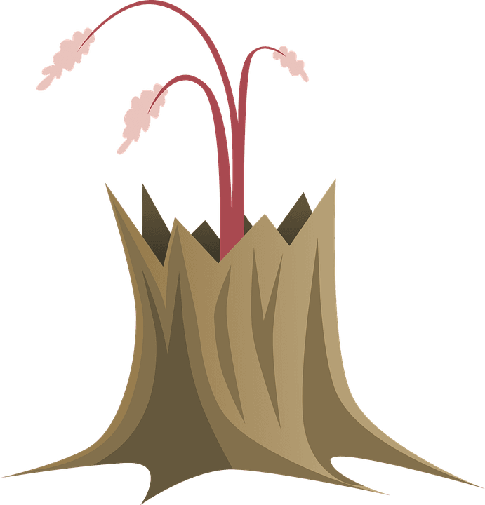 Tree Branches Trunk Nature Leaves Decorative - Batang Pohon Png - Transparent PNG Free Download | PNGio