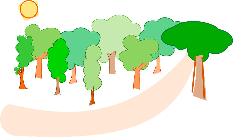 Trees Forest Nature Landscape Environment - Forest Clipart - Transparent PNG Free Download | PNGio