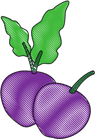 Beetroot Organic Natural Vegetable - Illustration - Transparent PNG Free Download | PNGio