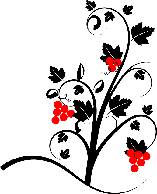 Vine, Wine, Plant, Red, Grape-vine, Nature - Psalm 27:1 Greeting Cards - Transparent PNG Free Download | PNGio