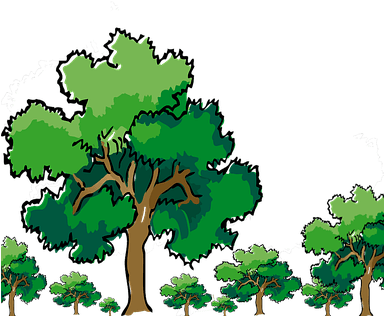 Trees, Oak, Nature, Green, Branch, Wood - Oak Tree Clip Art - Transparent PNG Free Download | PNGio