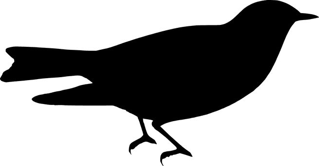 Silhouette, Bird, Nature, From The Side - Bird - Transparent PNG Free Download | PNGio