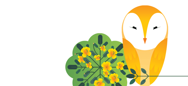 Conserving The Nature - Roundtable On Sustainable Palm Oil - Transparent PNG Free Download | PNGio