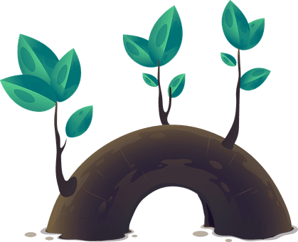 Plant Leaves Growth Tree Nature Green Envi - Φυλλάδια Προπαιδειασ - Transparent PNG Free Download | PNGio