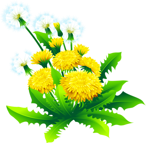 Tubes Nature - Album Design Flower Png - Transparent PNG Free Download | PNGio