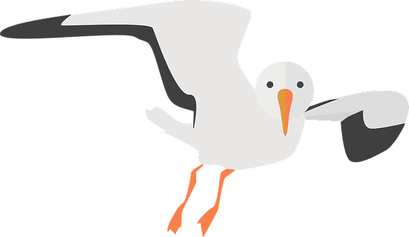 Seagull Animal Water Bird Nature Sea Bird - Transparent Background Seagull Clipart - Transparent PNG Free Download | PNGio