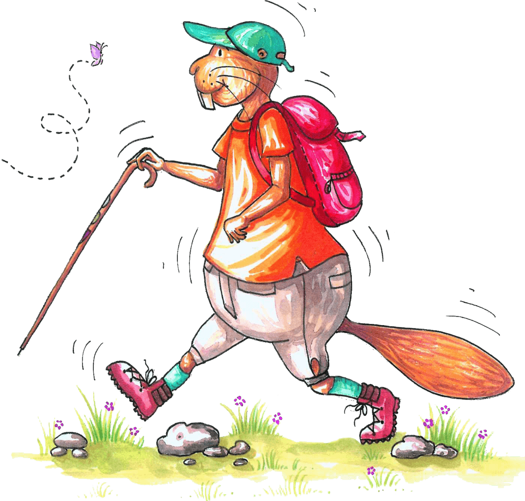 Hausen Soll Für Die Schönheiten Und Besonderheiten - Illustration - Transparent PNG Free Download | PNGio