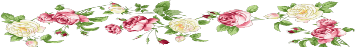 High Altitude Organics * Naturals * Herbs * Essentials - Garden Roses - Transparent PNG Free Download | PNGio