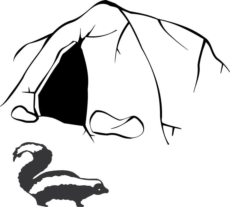Stinky Skunk Smell Cave Nature Animals - Cave Clip Art - Transparent PNG Free Download | PNGio