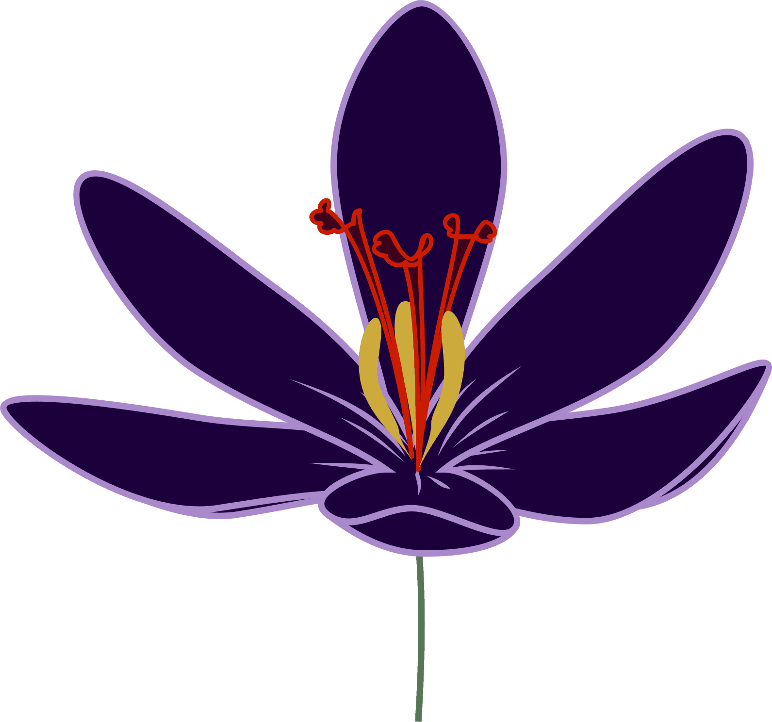 Nature Crocus - Saffron Flower Clipart - Transparent PNG Free Download | PNGio