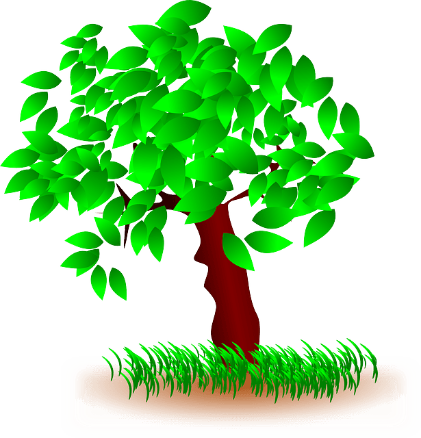 Free Photo Light Landscape Tree Nature Autumn Wood - Grass And Tree Clipart - Transparent PNG Free Download | PNGio