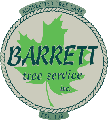 Tree Work In The Berkshires Of Western Mass Natural - Cafepress Bozeman, Mt 2063 Cube Ottoman - Transparent PNG Free Download | PNGio