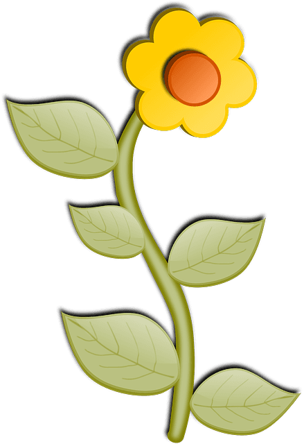 Nature Sunflower, Flower, Bloom, Blossom, Leaves, Nature - Flower Cartoon No Background - Transparent PNG Free Download | PNGio