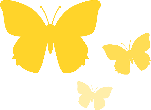 Insect Butterfly, Animal, Nature, Yellow, Insect - Borboleta Amarela Em Png - Transparent PNG Free Download | PNGio