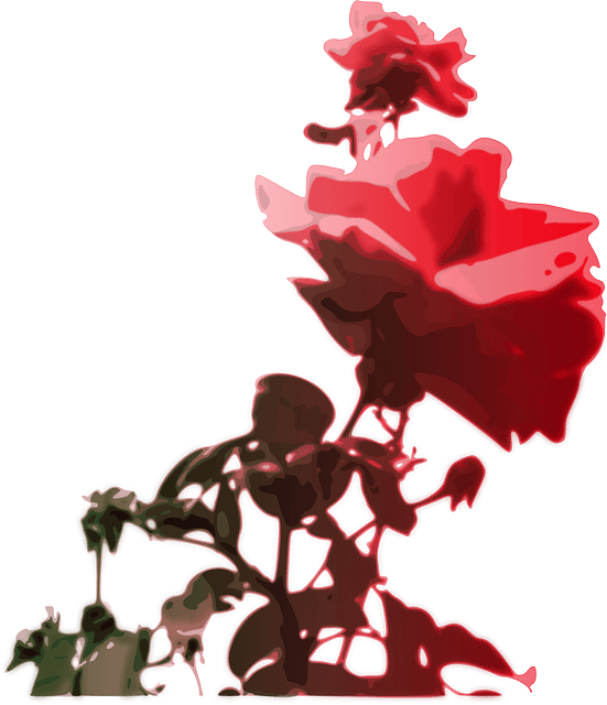 Red, Flower, Pink, Rose, Color, Gift, Bloom, Nature - Roses Clipart - Transparent PNG Free Download | PNGio