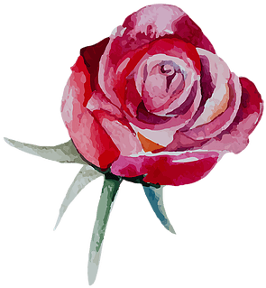 All Natural - Mother's Day - Transparent PNG Free Download | PNGio