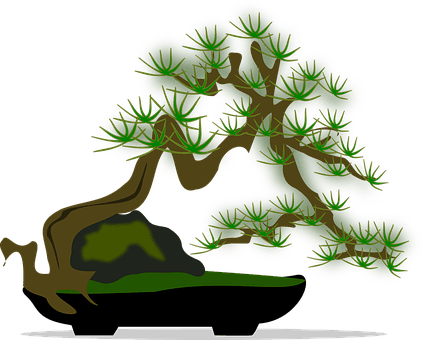 Bonsai Clip Art Flora Nature Plant Tree Bo - Clip Art - Transparent PNG Free Download | PNGio