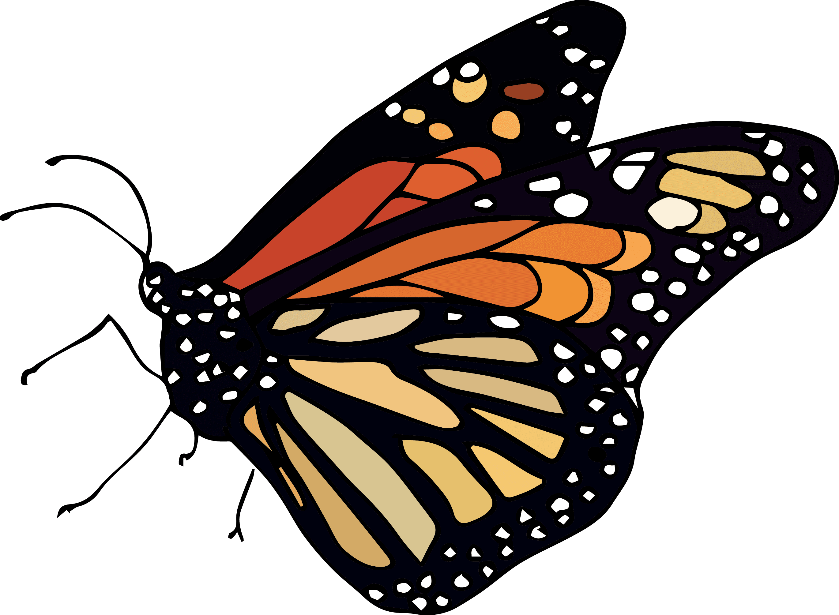#monarch From The #efrstickers Nature Sticker Sheet - Monarch Butterfly - Transparent PNG Free Download | PNGio