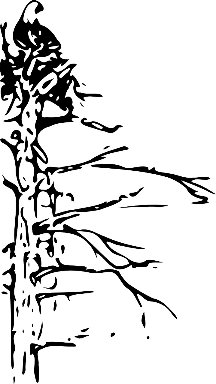 Tree Dead Nature Landscape Png Image - Bald Eagle - Transparent PNG Free Download | PNGio