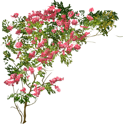 Tubes Nature - - Куст Цветов Png - Transparent PNG Free Download | PNGio